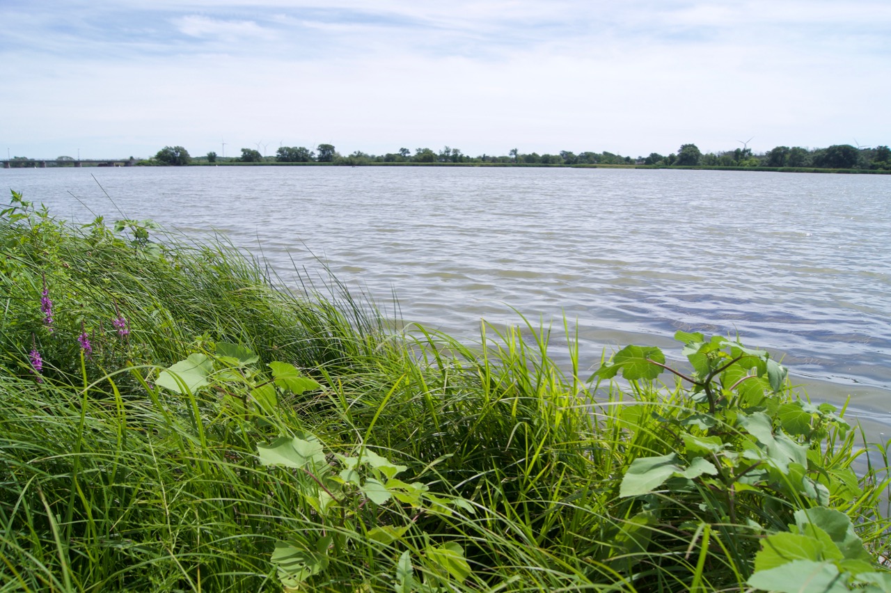 Lakeside View